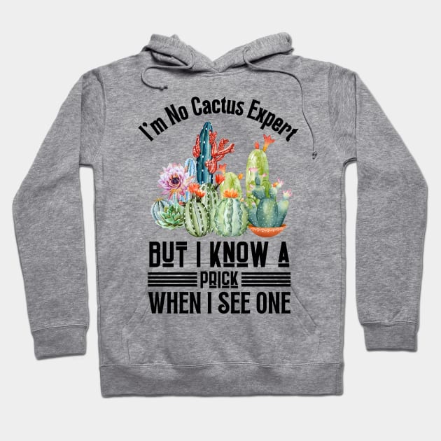I'm No Cactus Expert But I Know A Prick When I See One Hoodie by JustBeSatisfied